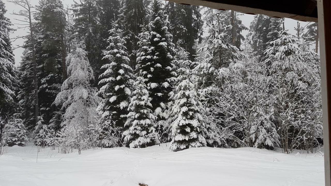 Chalet Taffski Боровец Экстерьер фото